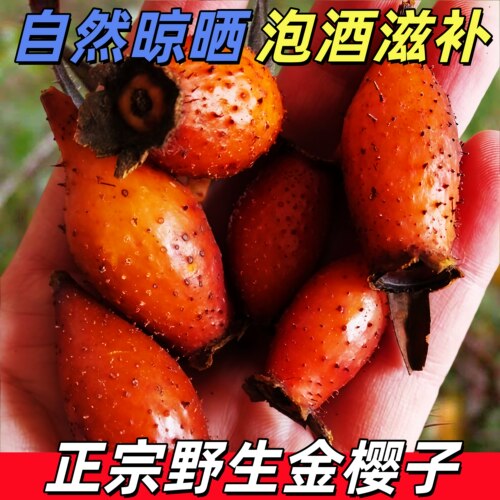 湖南野生无硫金樱子新货泡酒
