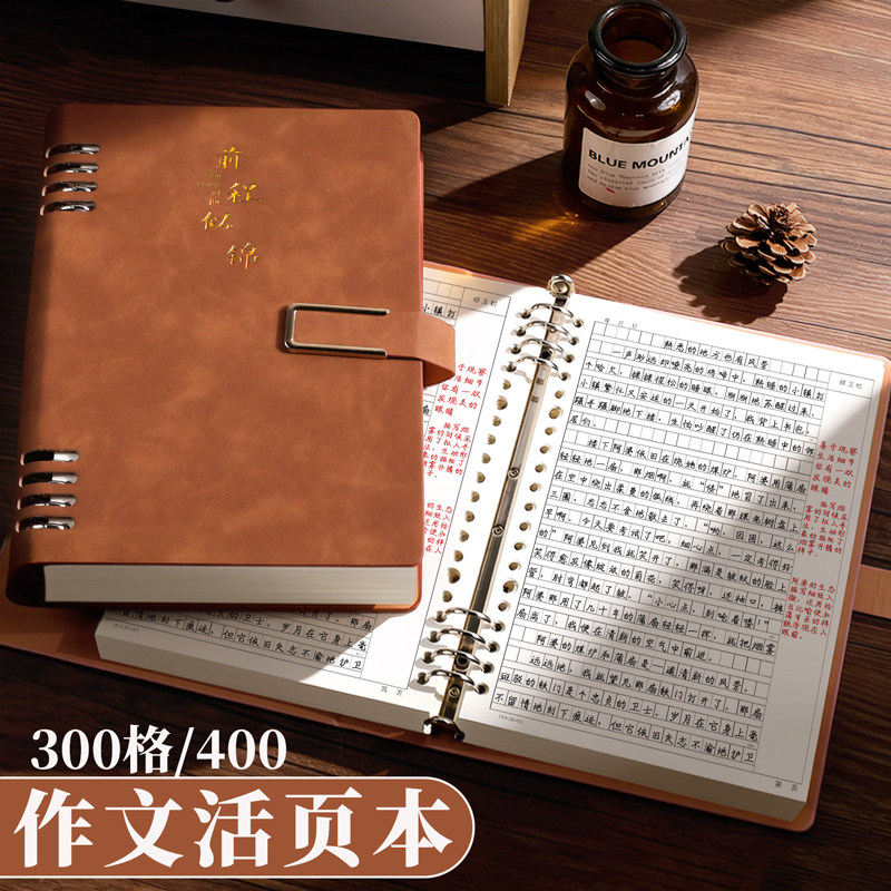 300/400格活页作文本B5练习本