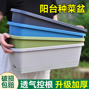 加厚阳台种菜盆家庭室内蔬菜长方形塑料长条花盆槽盆栽种植盆 新款
