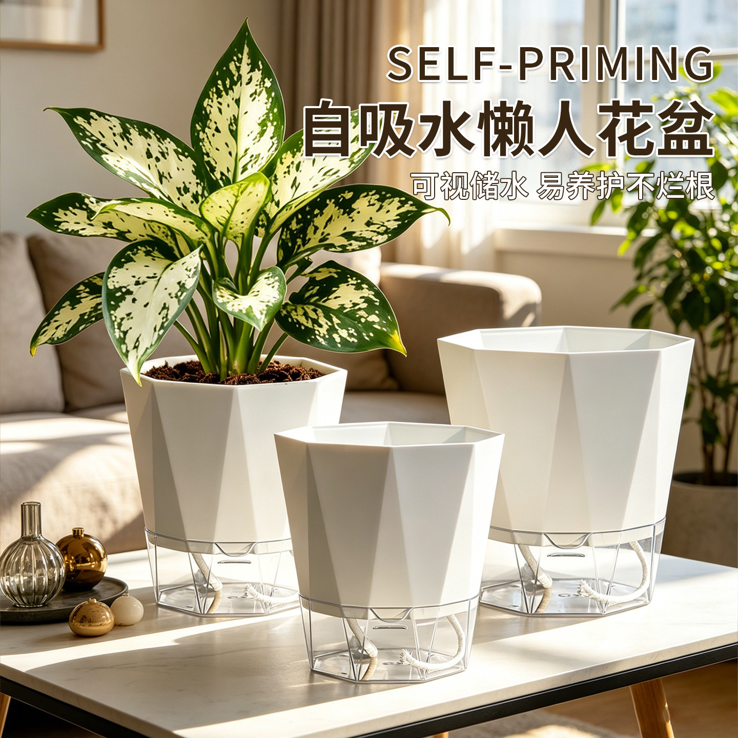 自吸水懒人花盆水培植物器皿绿萝专用线吸吸水盆自动塑料盆栽大号