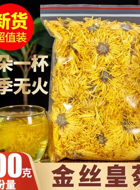 菊花茶黄菊大花茶搭枸杞胎菊金银