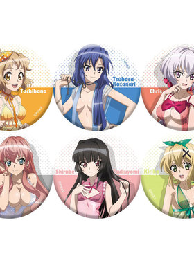 战姬绝唱 SYMPHOGEAR XV动漫徽章胸章 二次元周边吧唧定制立花响