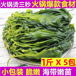 海带苗嫩5斤火锅商用新鲜盐渍霞浦薄小海带非干货麻辣烫火锅食材