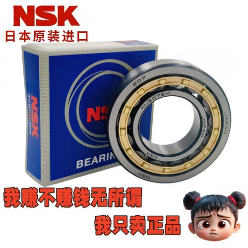 进口圆柱滚子轴承NUP NU NJ2304 2305 2306 2307 2308 2309 EM