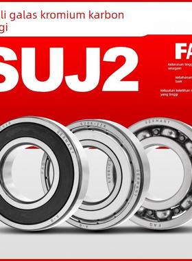 FAG进口轴承6307 6308 6309 6310 6311 6312 6313 6314C3 2ZR 2RS