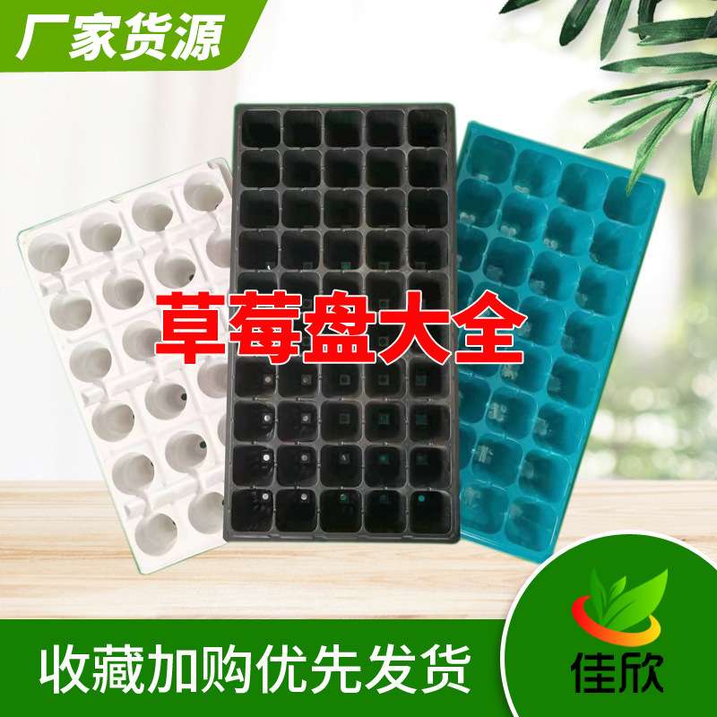 白色蓝色黑色24孔滴灌带草莓加厚育苗盘秧苗盘50孔桉树塑料穴盘