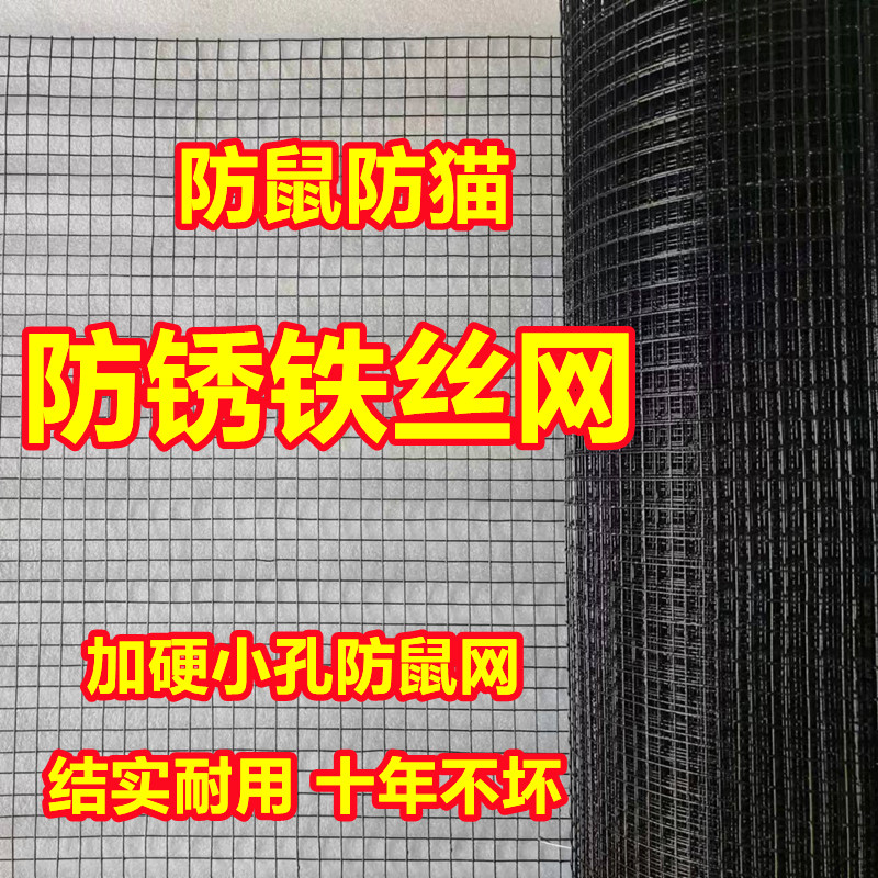 防锈铁丝网养殖养鸡网小孔防鼠防猫网防护网鱼塘果园围栏菜园圈地