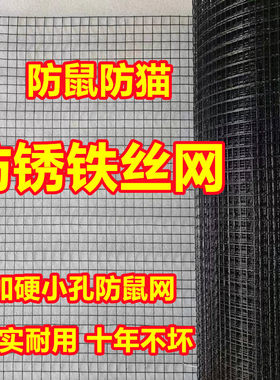 防锈铁丝网养殖养鸡网小孔防鼠防猫网防护网鱼塘果园围栏菜园圈地