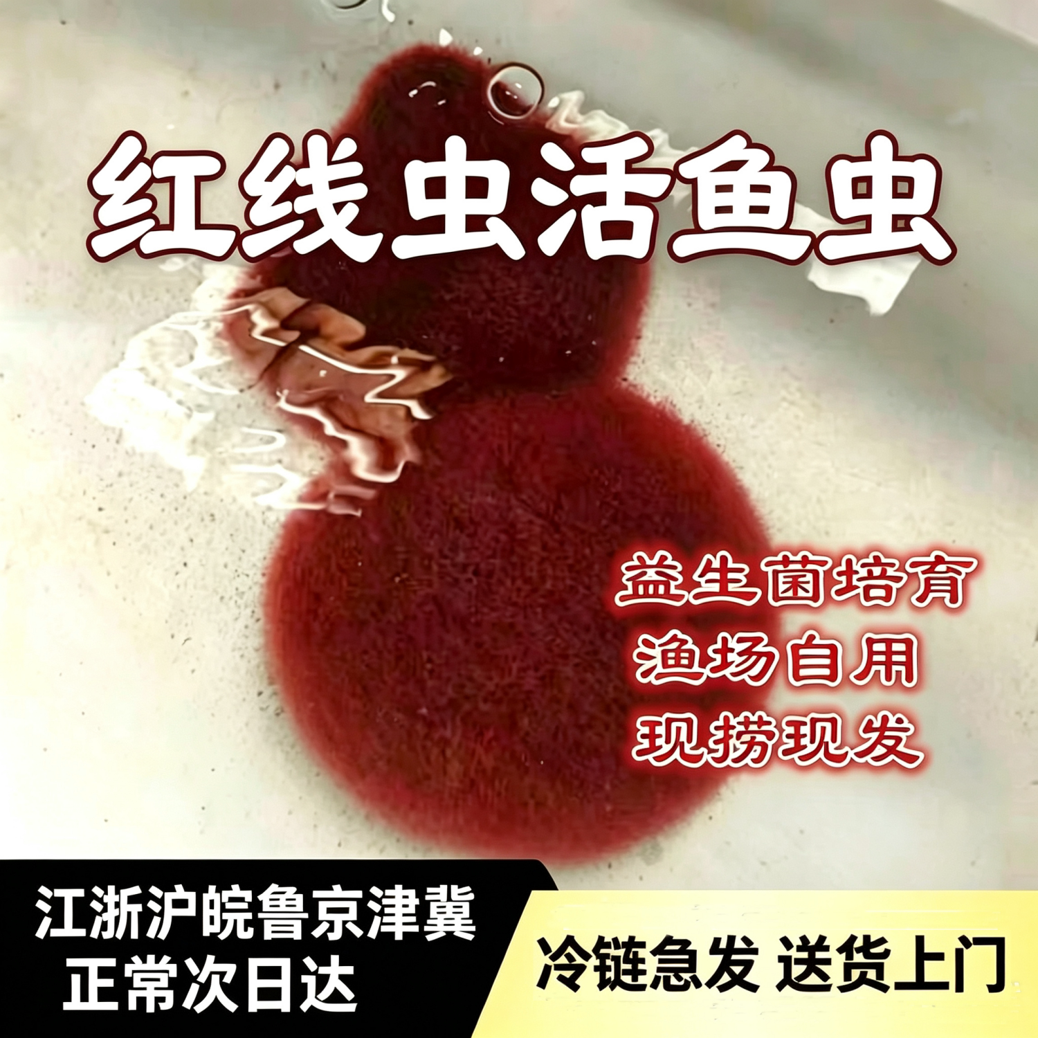 观赏鱼苗开口育苗发色高蛋白活饵图片