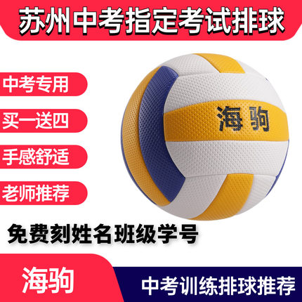 免费刻姓名苏州海驹1110A针纹气排球初中生指定中考教学体育训练