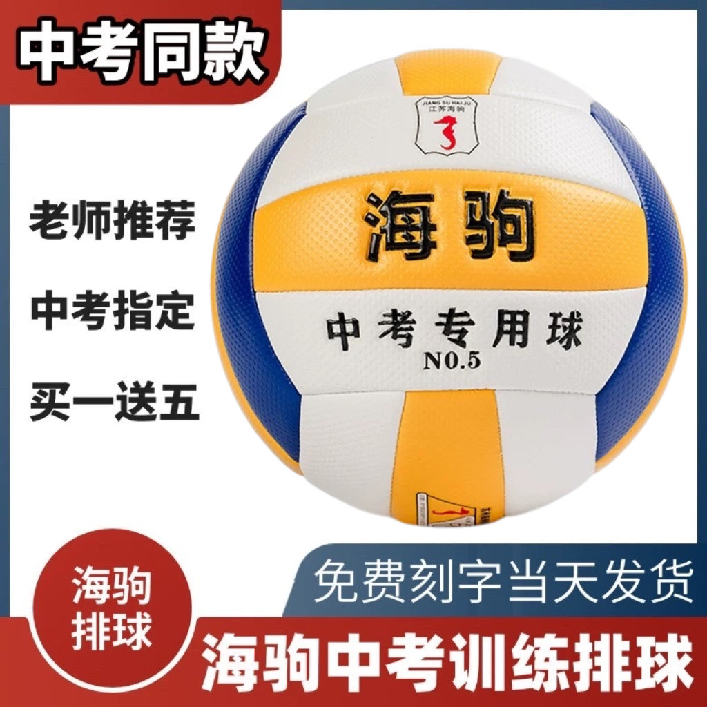 刻字海驹中考专用排球苏州中考专用排球中考专用1110A针纹5号排球
