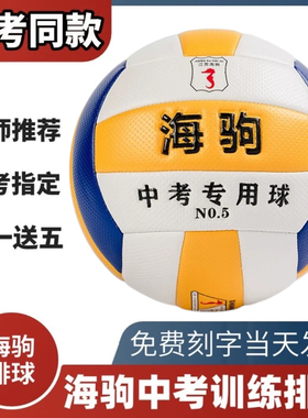 刻字海驹中考专用排球苏州中考专用排球中考专用1110A针纹5号排球