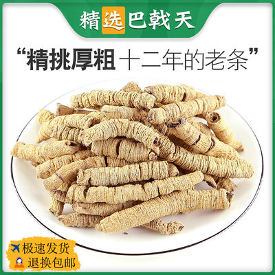 精选巴戟天十二年老根个大厚粗