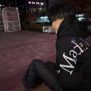 高街重磅雪花字母刺绣连帽运动衫男2026新款宽松慵懒风上衣P48图片