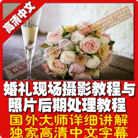 婚礼婚纱现场跟拍摄影摄像教程与照片后期处理中文字幕教程