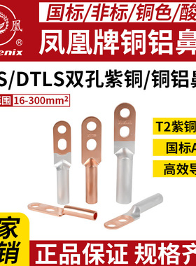 凤凰铜鼻子双孔50紫铜鼻子DTS-DTLS接线端子25紫铜70加厚铜35线耳