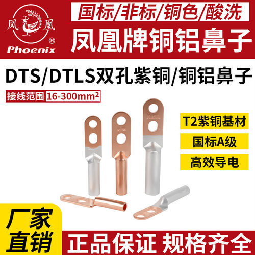 凤凰铜鼻子双孔50紫铜鼻子DTS-DTLS接线端子25紫铜70加厚铜35线耳