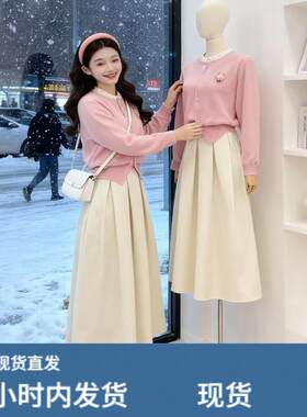 秋冬季御姐轻熟独特漂亮绝美气质温柔风毛衣开衫半身裙两件套装女