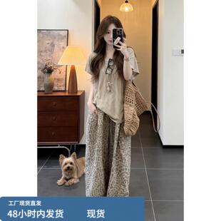 慵懒风小众休闲穿搭夏季气质圆领T恤上衣豹纹休闲宽裤子套装女