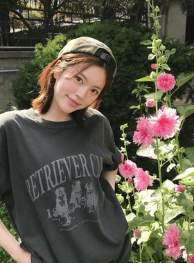 ODD/灰色仨小只显白印花短袖加厚纯棉宽松圆领情侣T恤女可爱狗狗