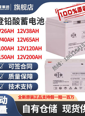 双登铅酸免维护蓄电池6-GFM-10012V65AH40AH100AH200AH150AH UPS