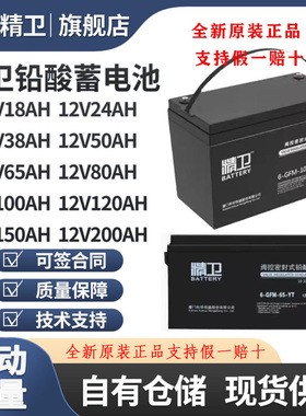 科华精卫蓄电池6-GFM-100-YT/12V24AH38AH65A120A150A200AUPS电源