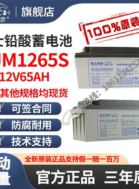 理士蓄电池12V65AH 理士DJM1265S 铅酸免维护蓄电池UPS EPS直流屏
