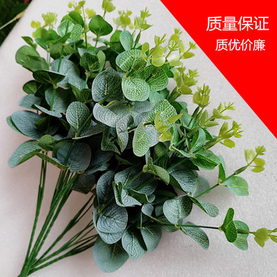 仿真金钱叶橄榄枝圆叶尤加利绿植