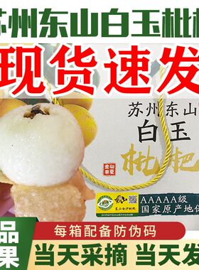 正宗苏州东山白玉白沙枇杷果软糯