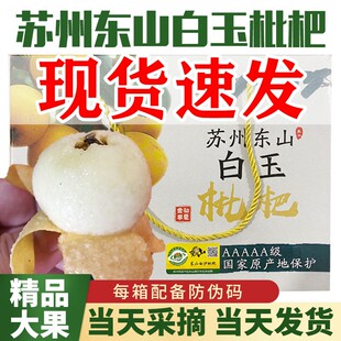特大苏州东山白玉白沙枇杷果新鲜水果孕妇水果琵琶鲜果大果礼盒装
