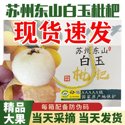 特大苏州东山白玉白沙枇杷果新鲜水果孕妇水果琵琶鲜果大果礼盒装