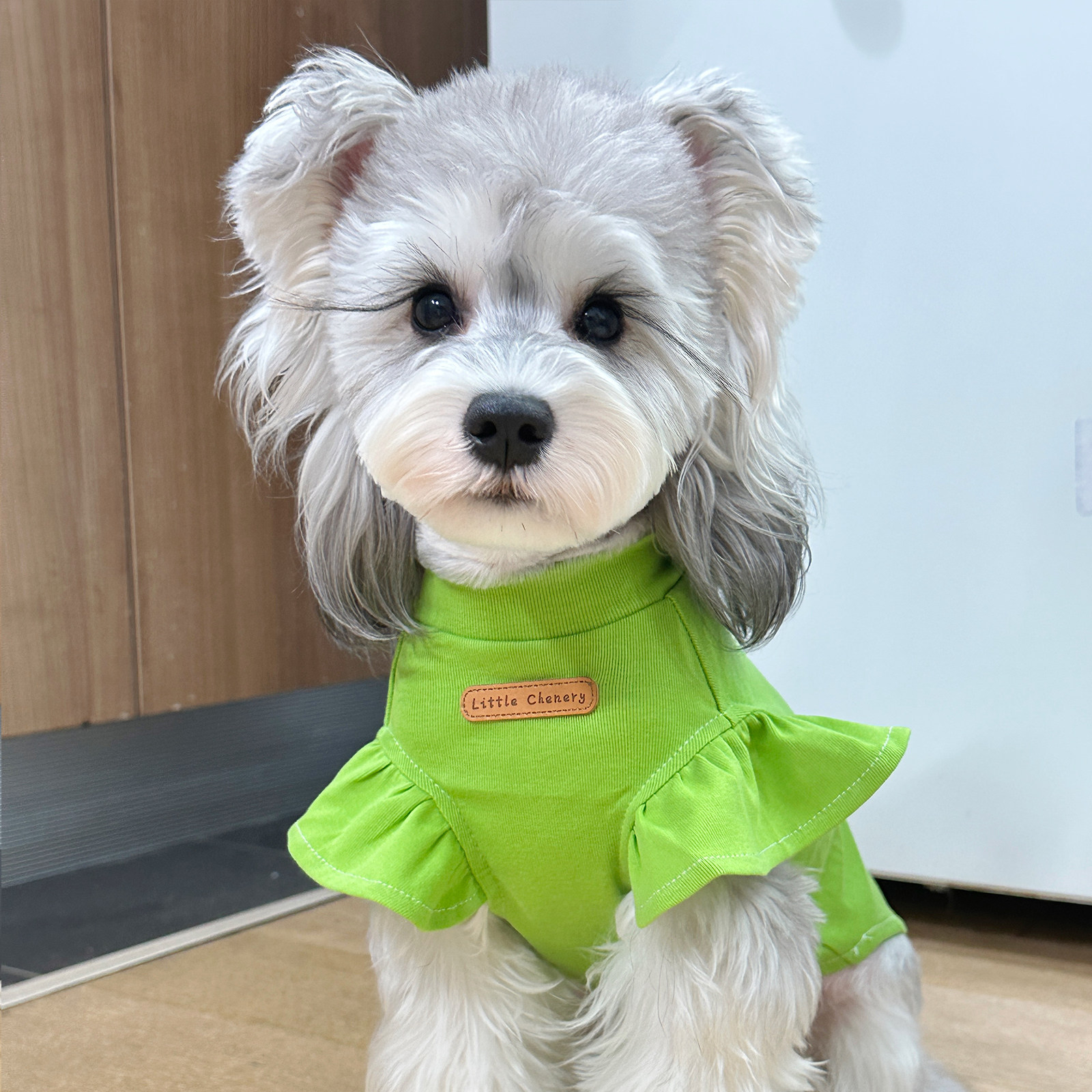 绿色小飞袖背心白胡子雪纳瑞衣服泰迪比熊狗狗衣服支持定制