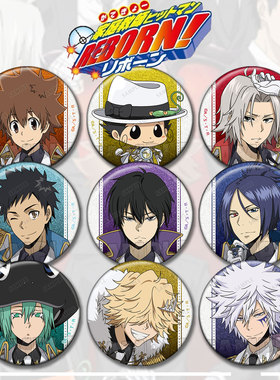 家庭教师谷子吧唧周边蓝波六道骸动漫徽章纲吉挂件狱寺巴利安胸针