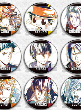 家庭教师动漫徽章胸章国产二次元周边谷子镭射吧唧泽田隼人云雀骸