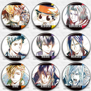 家庭教师动漫徽章胸章国产二次元周边谷子镭射吧唧泽田隼人云雀骸