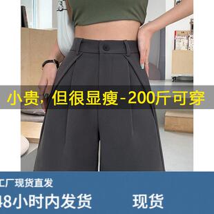 灰色西装短裤女夏季薄款外穿女士胖mm大尺码五分雪纺冰丝阔腿休闲
