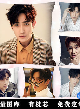 朱一龙周边抱枕镇魂电视剧同款沈巍罗浮生明星靠垫照片定制礼物