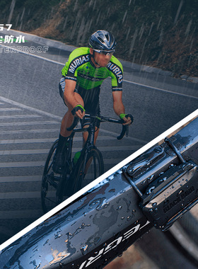 黑鸟Blackbird 新款精准速度踏频双功能传感器支持蓝牙ANT+双模式