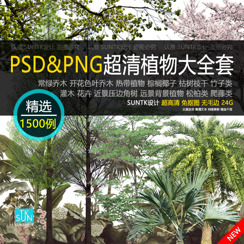 植物素材ps贴图png立面真实高清免抠图园林绿化乔木灌木花卉后期