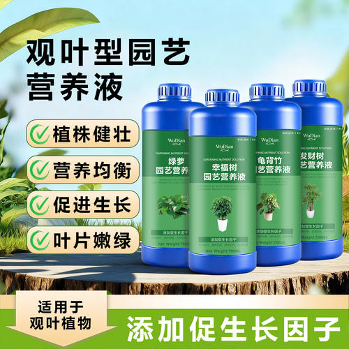 竹子专用营养液防黄干尖促生长