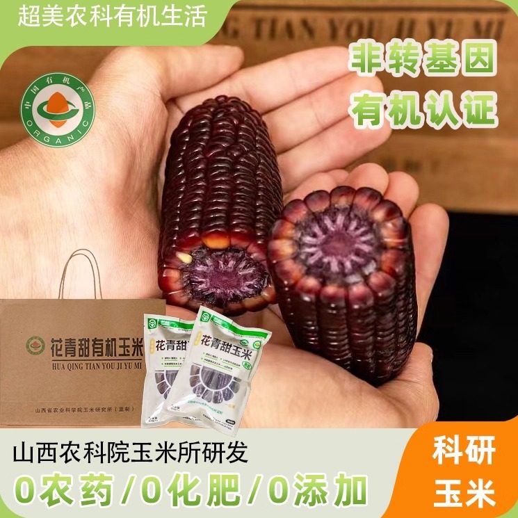 乌粒金花青甜农科院非转基因有机
