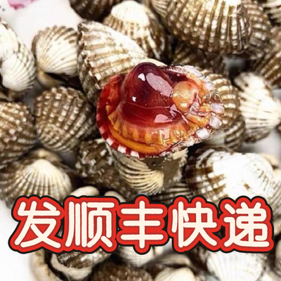 乐清新鲜血蛤2斤贝壳类带泥