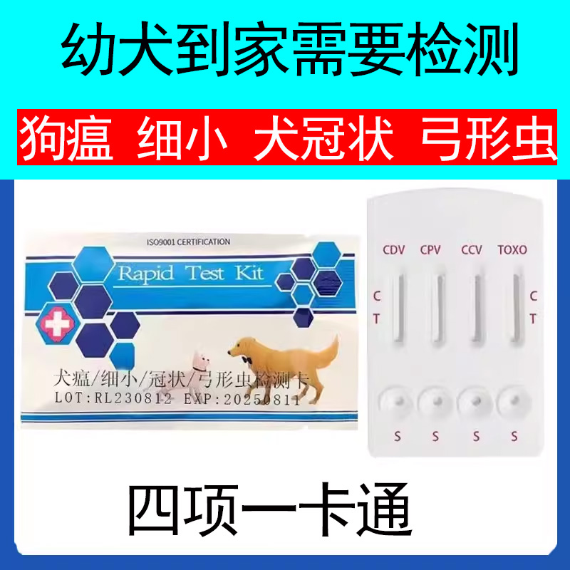 幼犬到家需测四联卡狗瘟犬细小冠状弓形虫病毒检测卡宠物试纸 宠物/宠物食品及用品 试纸 原图主图