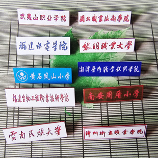 定制双色板胸牌 工号牌 学校校徽 胸牌 学生校牌  大学生校徽