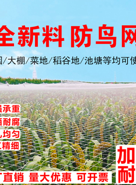 果园防鸟用的网果树大棚丝网菜园种菜防鸟鱼池养殖网草莓葡萄防护