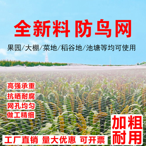 防鸟网丝网果树大棚养殖防护网