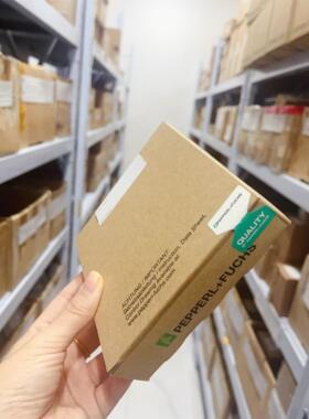 德国倍加福库存现货KFU8-SR-EX2. W开关量输入安全栅现货