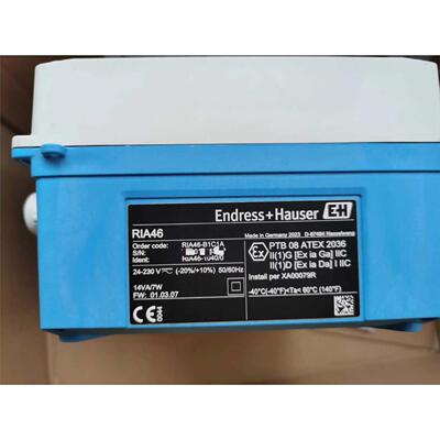 E+H过程测控仪RIA46-B1C
