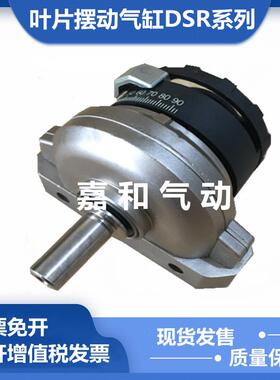 叶片摆动气缸DSRL DSR-10-12-16-25-32-40-180D-P-FW-R-L 11911