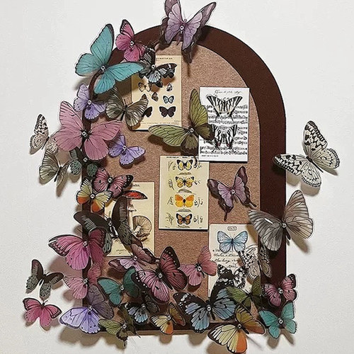 网红同款小红书100万人点赞